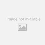 Catit Go Natural Unscented Pea Husk Clumping Cat Litter - 14 Litres